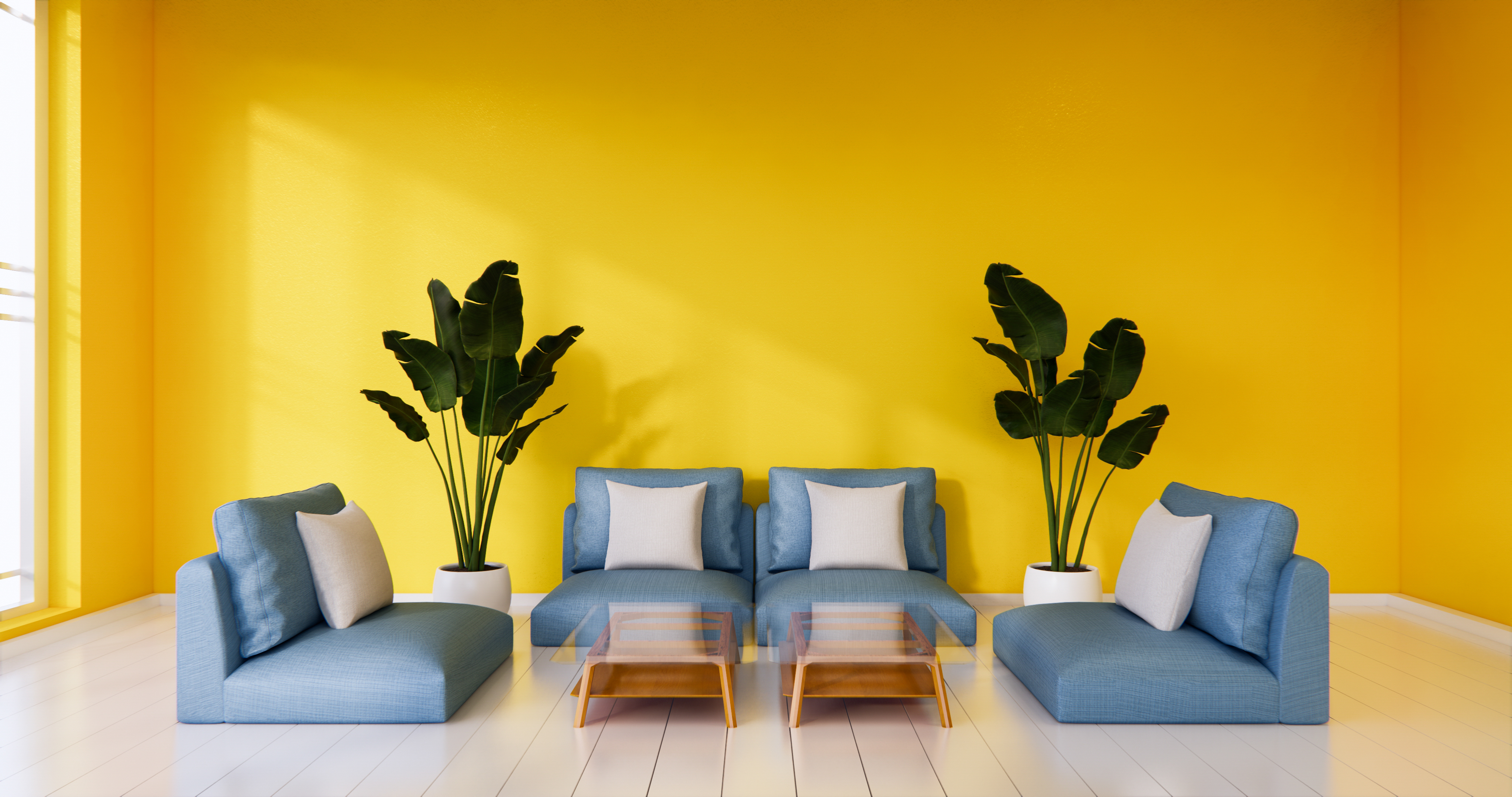 Bold block colour wall